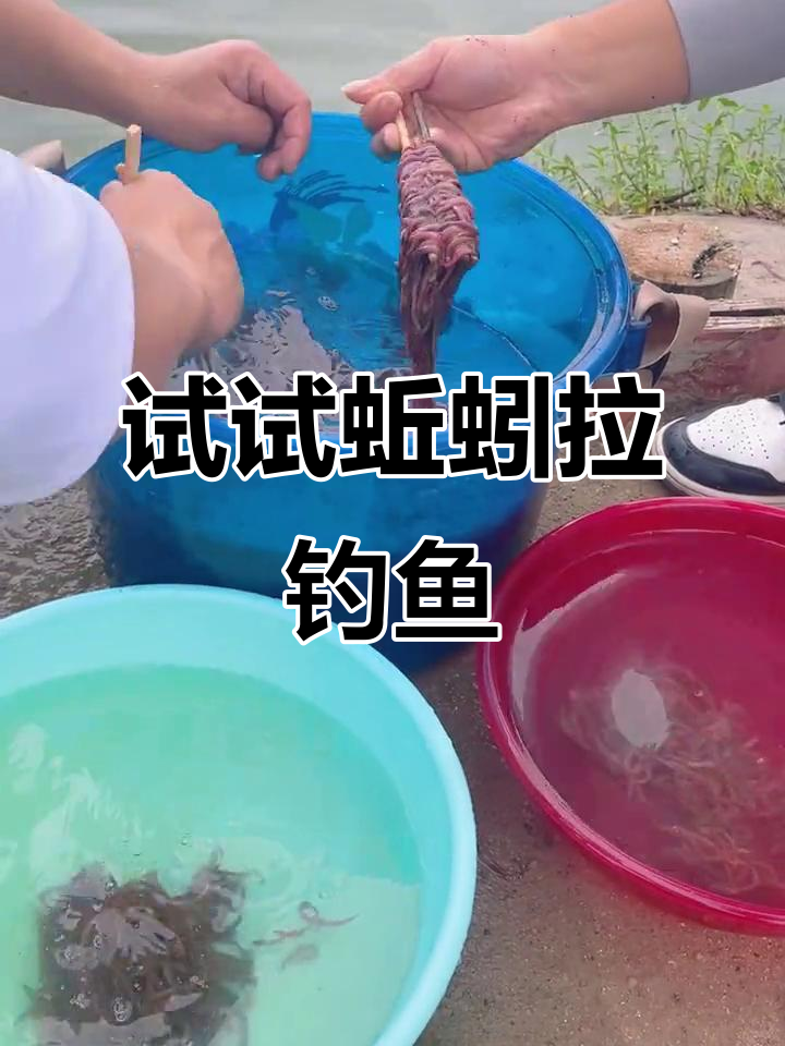 蚯蚓加蜂密钓鱼技巧(蚯蚓加蜂蜜钓鱼效果怎么样) 蚯蚓加蜂密钓鱼技巧(蚯蚓加蜂蜜钓鱼效果怎么样)