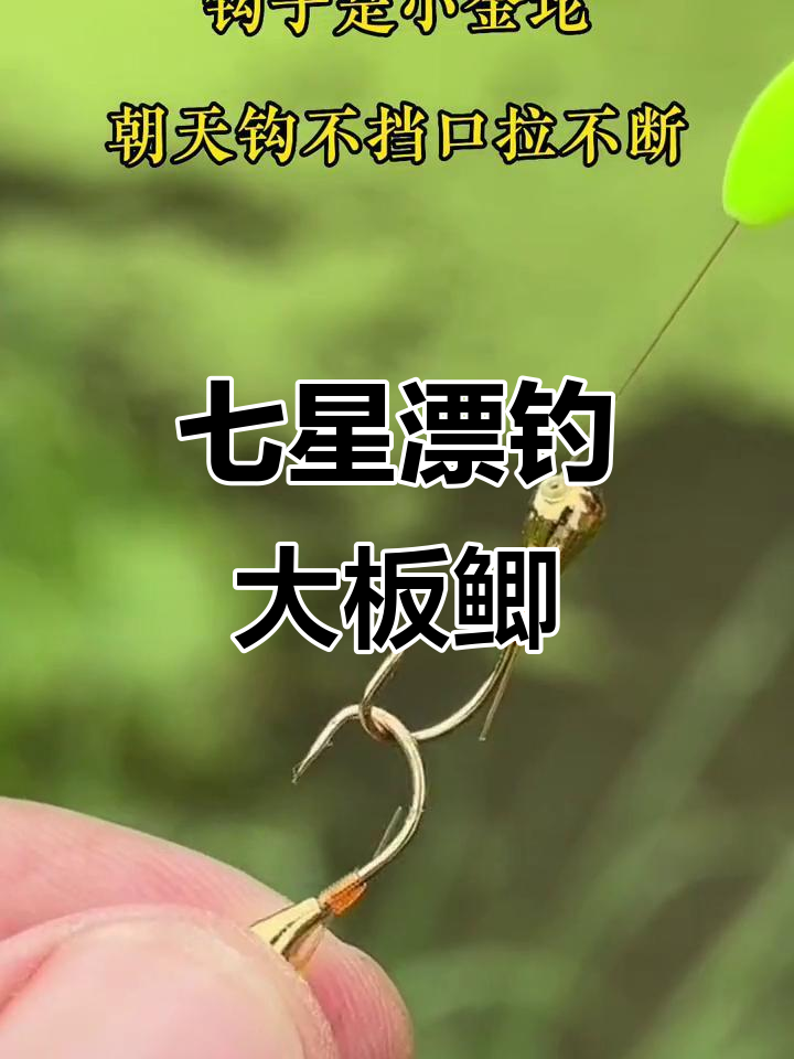 夏季钓鲫鱼开草洞技巧(野钓草洞鲫鱼)