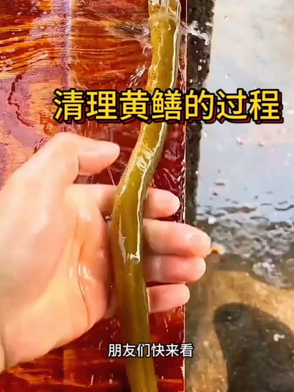 杀鳗鱼技巧(新手杀鳗鱼教程视频) 杀鳗鱼技巧(新手杀鳗鱼教程视频)