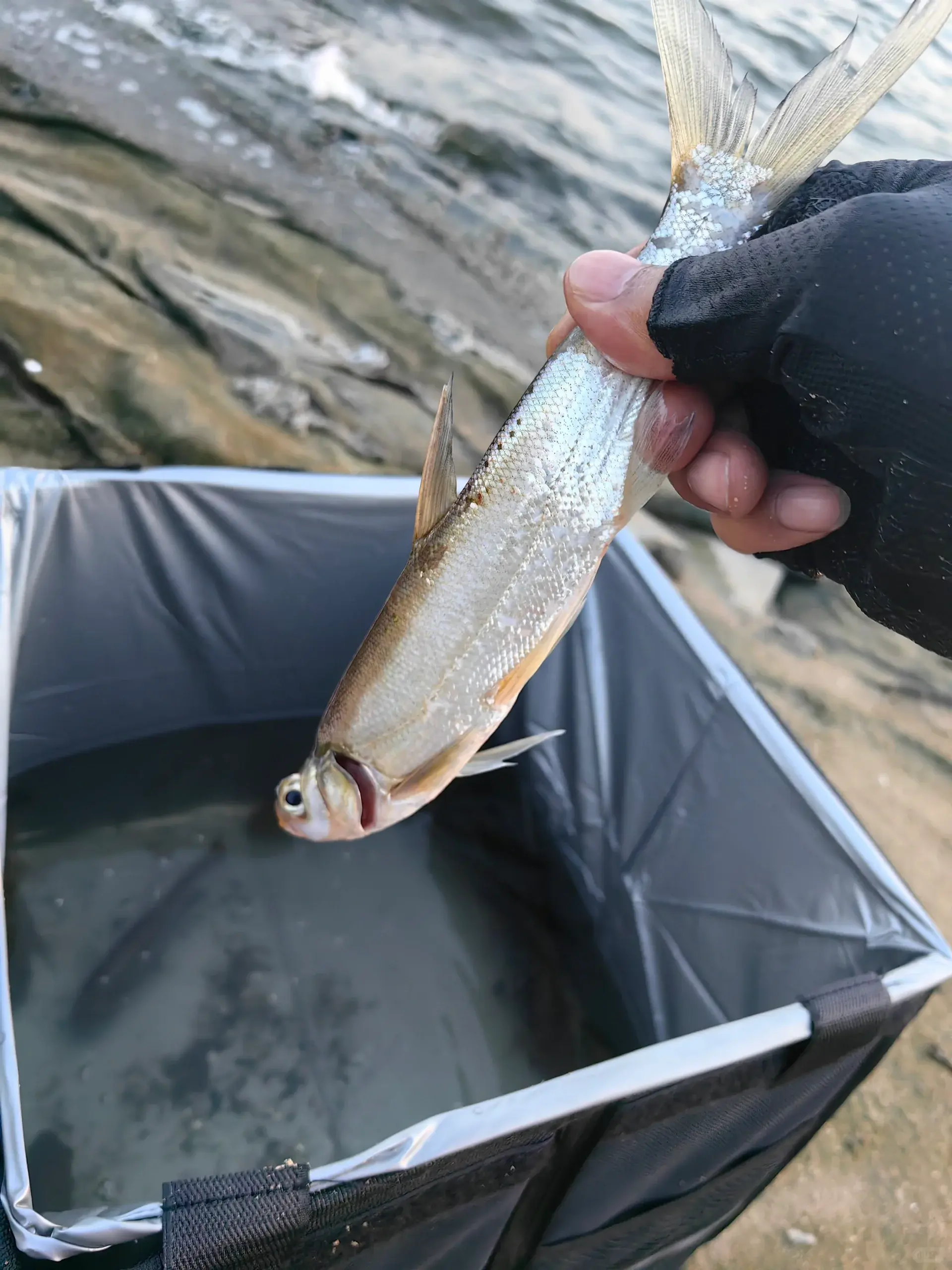 路亚福州(福州路亚俱乐部) 路亚福州(福州路亚俱乐部)