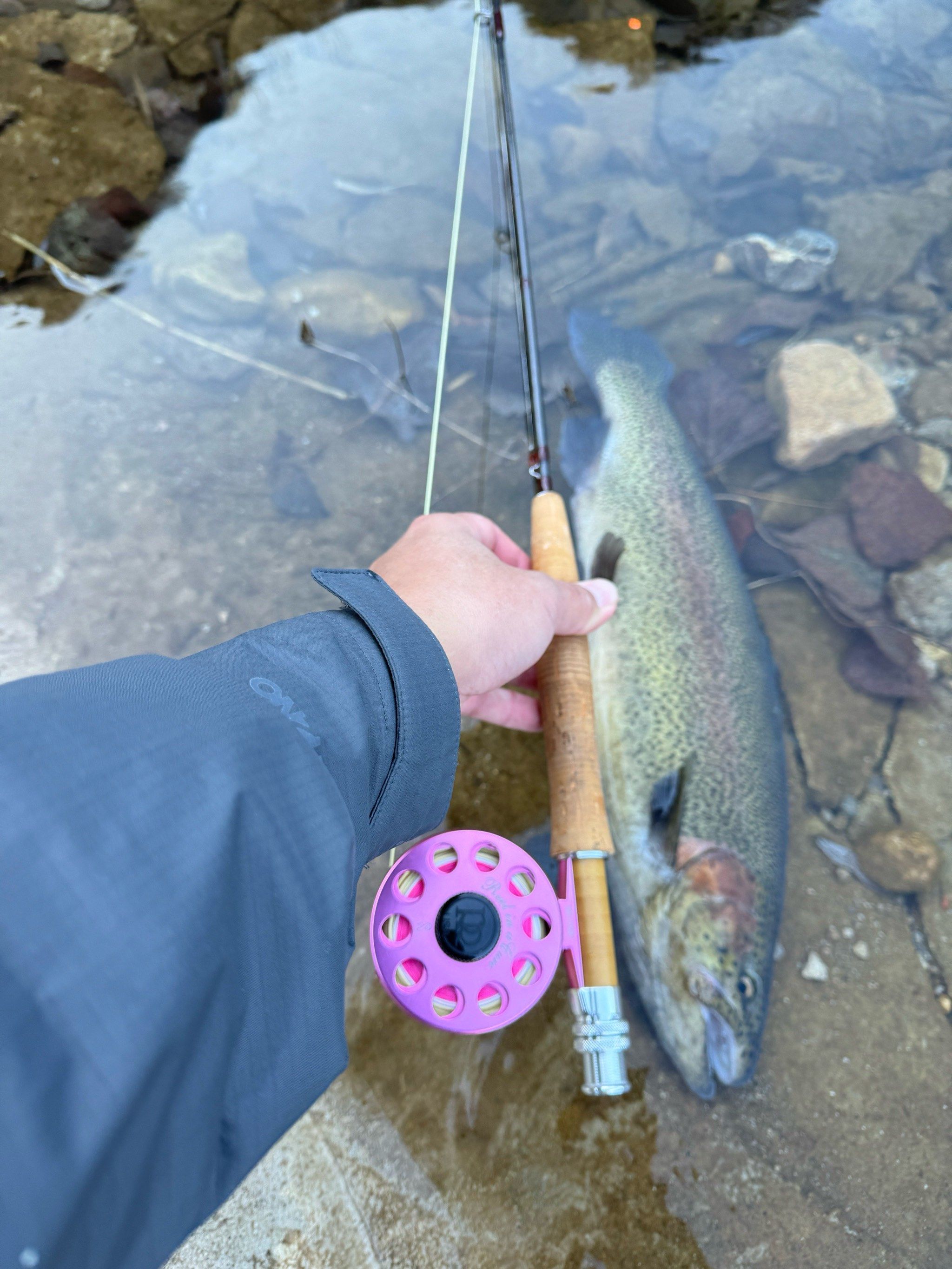 日本路亚鱼(日本路亚鱼饵三大品牌) 日本路亚鱼(日本路亚鱼饵三大品牌)