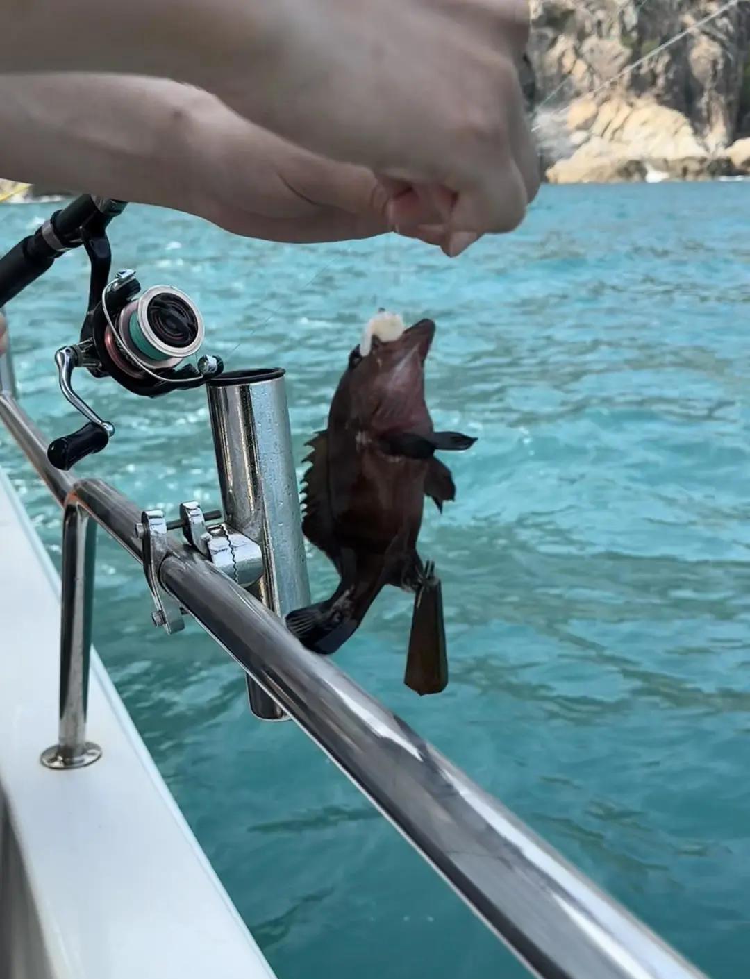 东灶海钓(东灶港靠什么海) 东灶海钓(东灶港靠什么海)