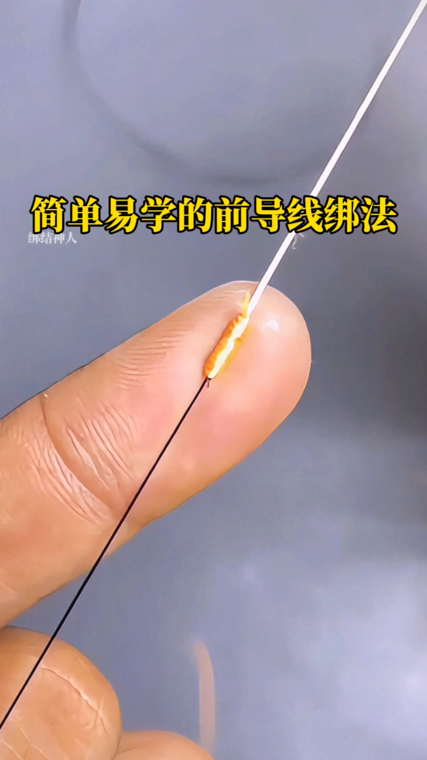 路亚前导线的作用(路亚前导线的作用?) 路亚前导线的作用(路亚前导线的作用?)