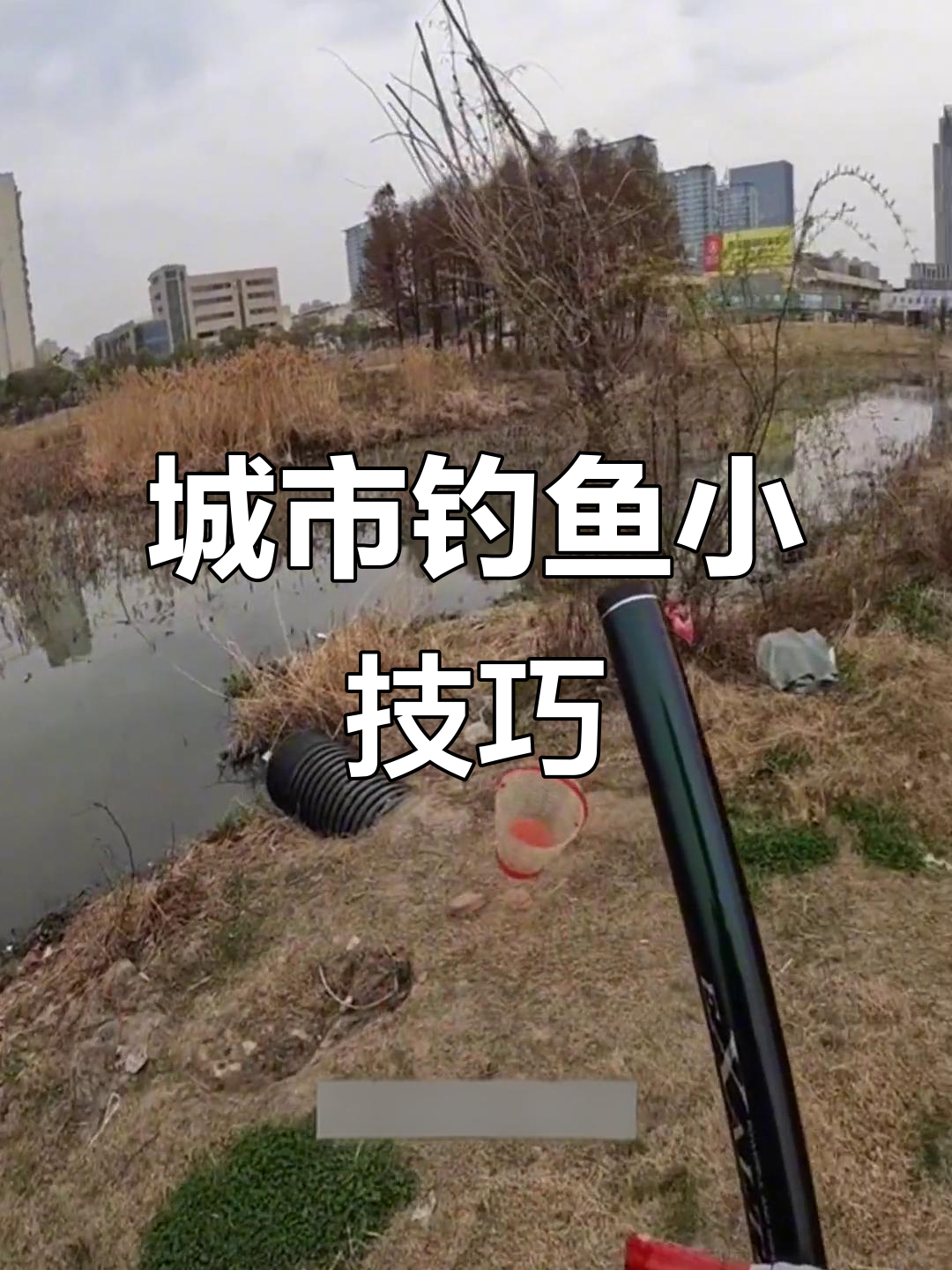 莲花钓鱼技巧(进制转换计算器app) 莲花钓鱼技巧(进制转换计算器app)