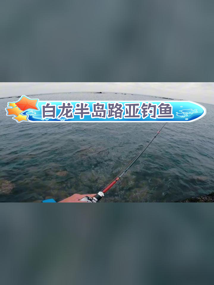 防城海钓(防城港海钓免费钓点在哪) 防城海钓(防城港海钓免费钓点在哪)
