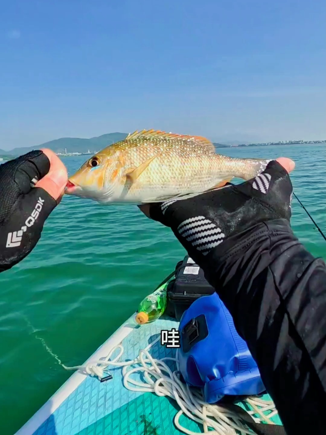 陆丰海钓点(陆丰旅游必去十大景点) 陆丰海钓点(陆丰旅游必去十大景点)