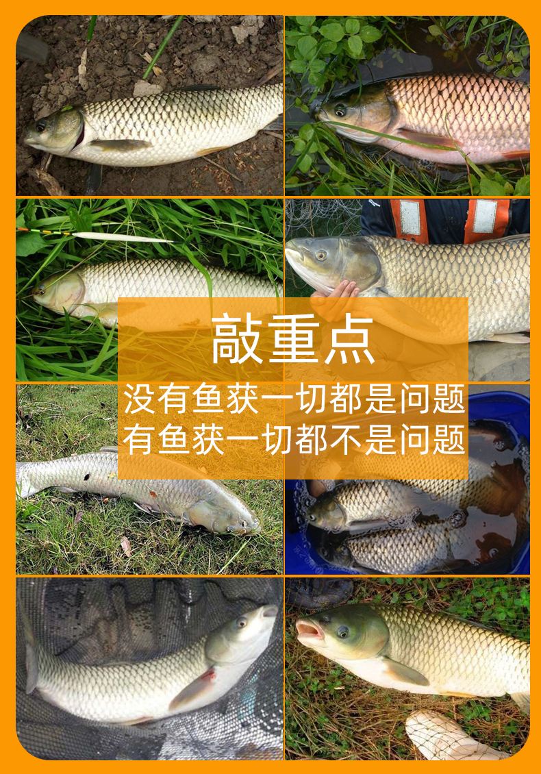 草鱼钓鱼饵料配方大全(草鱼钓鱼饵料配方大全视频) 草鱼钓鱼饵料配方大全(草鱼钓鱼饵料配方大全视频)