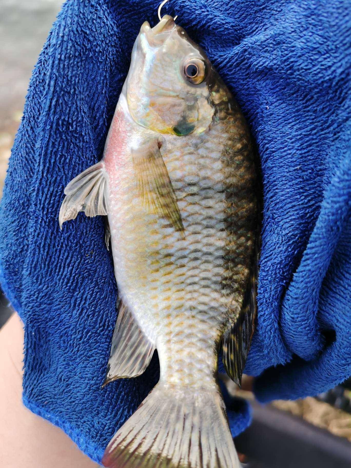 501路亚贵阳(贵阳501厂是什么单位) 501路亚贵阳(贵阳501厂是什么单位)