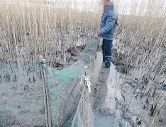 松滋长江渔具电话(湖北渔具品牌大全) 松滋长江渔具电话(湖北渔具品牌大全)