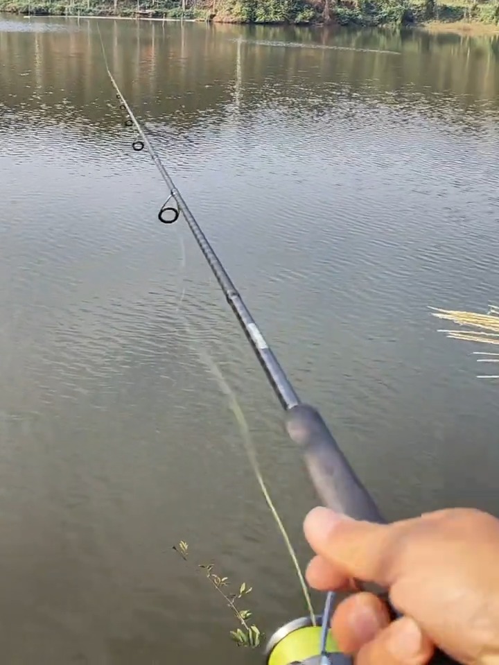 南水水库路亚(水库路亚用什么饵) 南水水库路亚(水库路亚用什么饵)