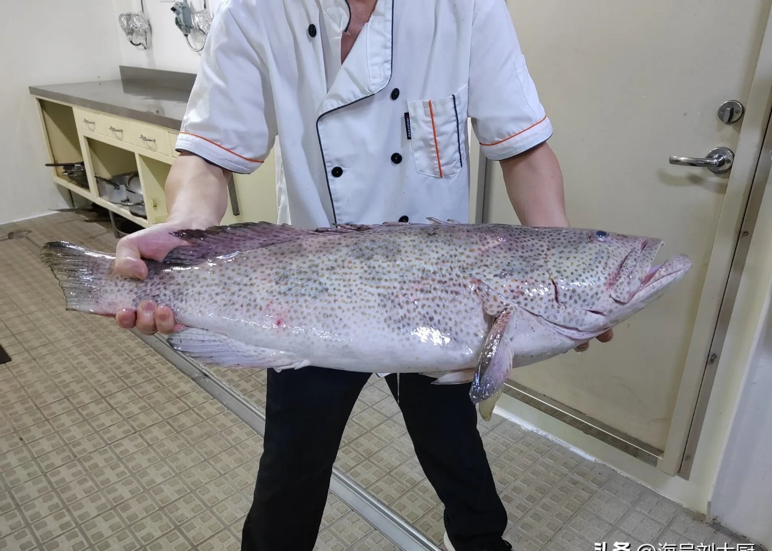 海钓石斑鱼怎么钓(海钓石斑鱼钓夜水好钓吗) 海钓石斑鱼怎么钓(海钓石斑鱼钓夜水好钓吗)