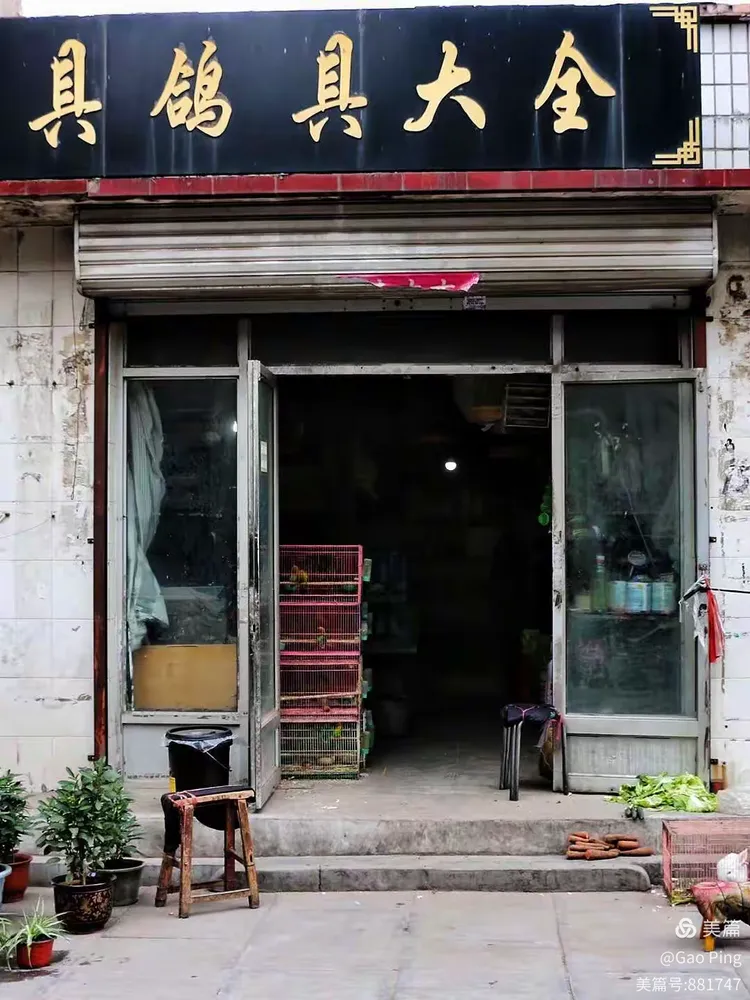 蔚县渔具店(张家口蔚县简介及旅游攻略) 蔚县渔具店(张家口蔚县简介及旅游攻略)