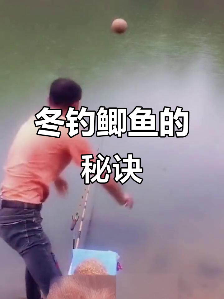 冰钓鲫鱼的技巧(冰钓鲫鱼鱼获图片) 冰钓鲫鱼的技巧(冰钓鲫鱼鱼获图片)