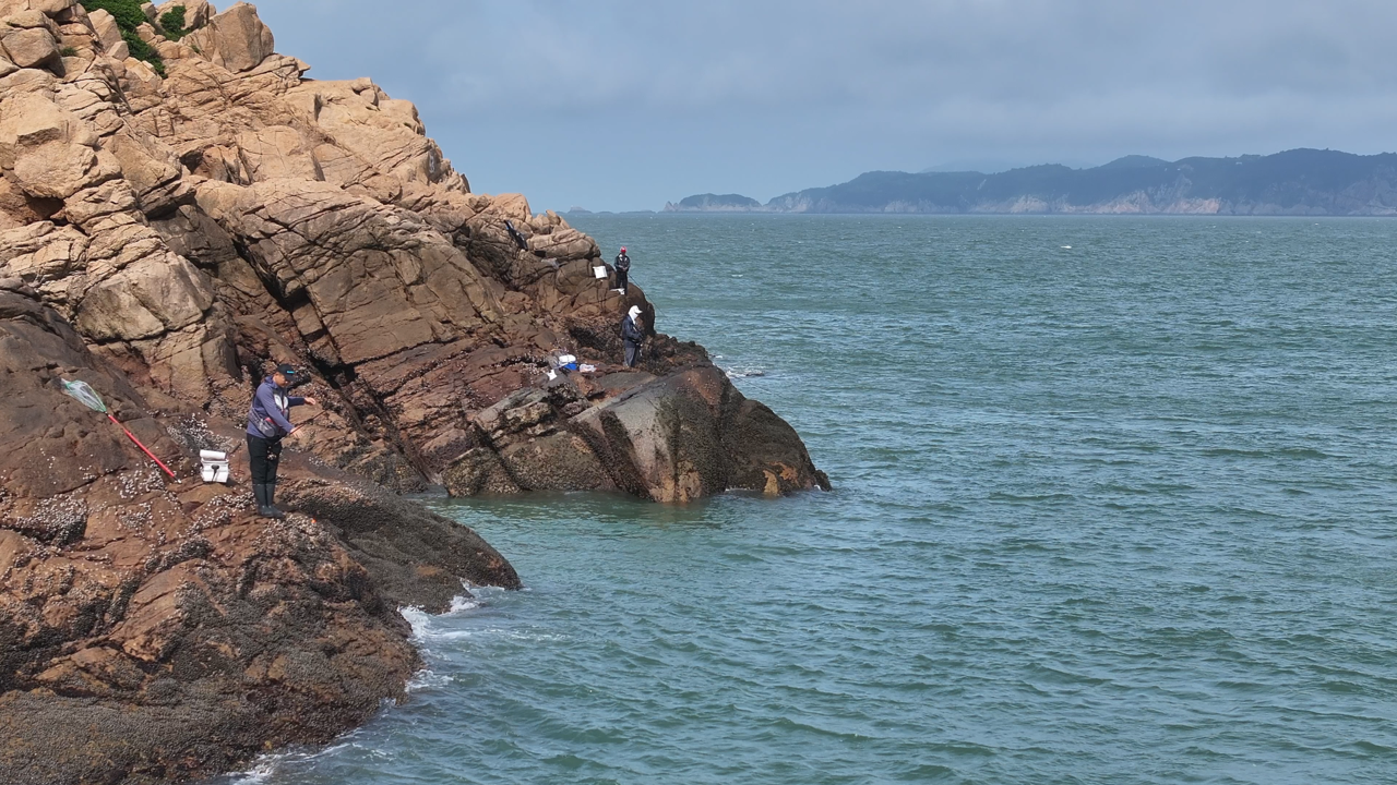 洞头可以海钓吗(洞头可以出海捕鱼吗)