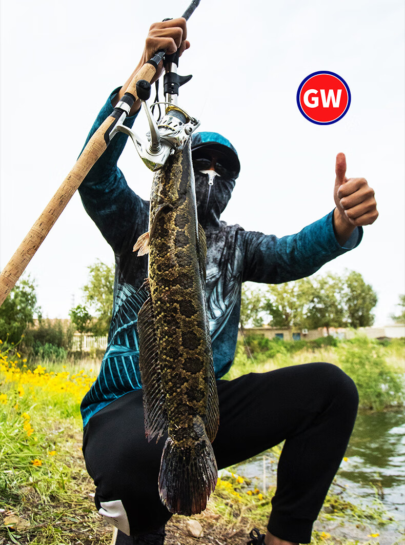 沈阳卖路亚鱼竿的(沈阳卖路亚鱼竿的地方) 沈阳卖路亚鱼竿的(沈阳卖路亚鱼竿的地方)