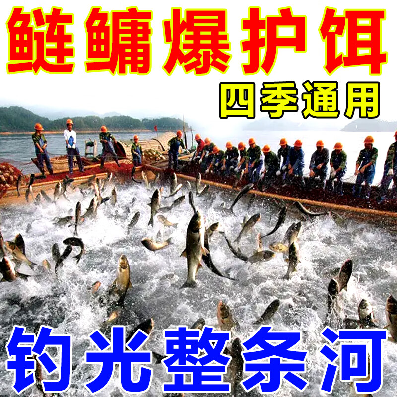 鲢鳙吃饵料(鲢鳙用饵) 鲢鳙吃饵料(鲢鳙用饵)