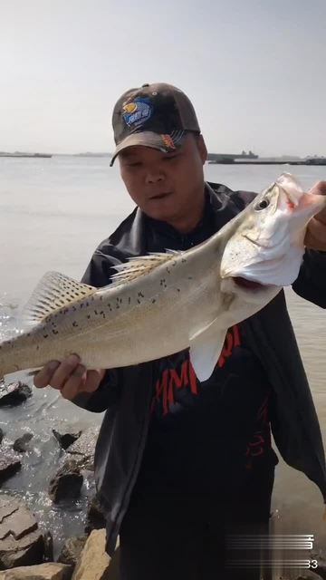 扬州路亚协会(江苏扬州路亚资源) 扬州路亚协会(江苏扬州路亚资源)