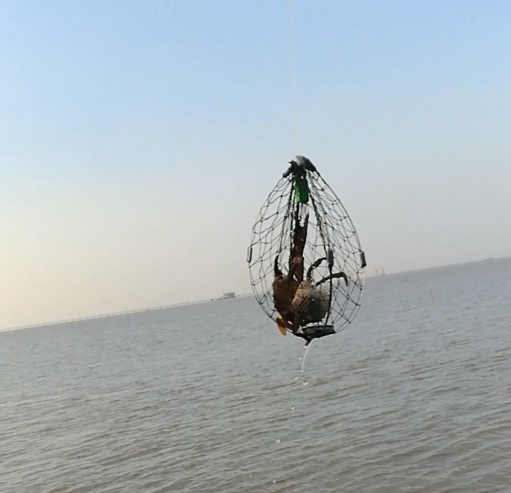 曹妃海钓网(12米国产海钓艇价格) 曹妃海钓网(12米国产海钓艇价格)