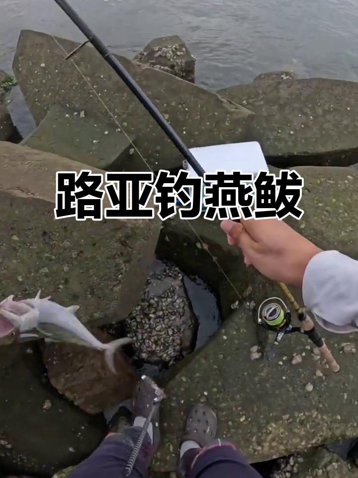 曹妃海钓网(12米国产海钓艇价格) 曹妃海钓网(12米国产海钓艇价格)