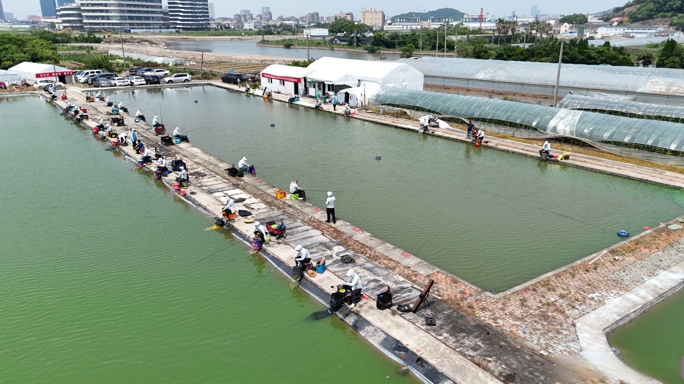 上海钓场资源(上海野钓资源) 上海钓场资源(上海野钓资源)