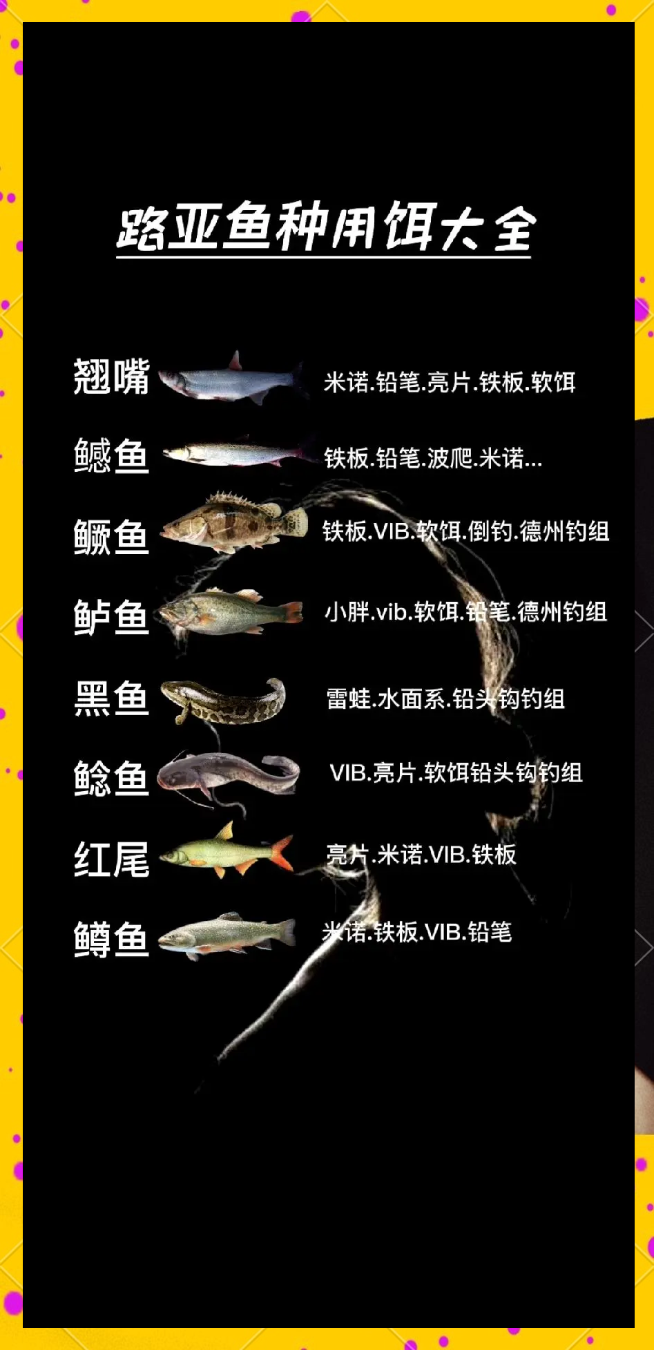 饵料知识大全(饵料经典配方) 饵料知识大全(饵料经典配方)