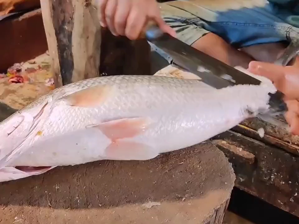 溜鱼技巧视频(溜鱼技巧视频教学) 溜鱼技巧视频(溜鱼技巧视频教学)