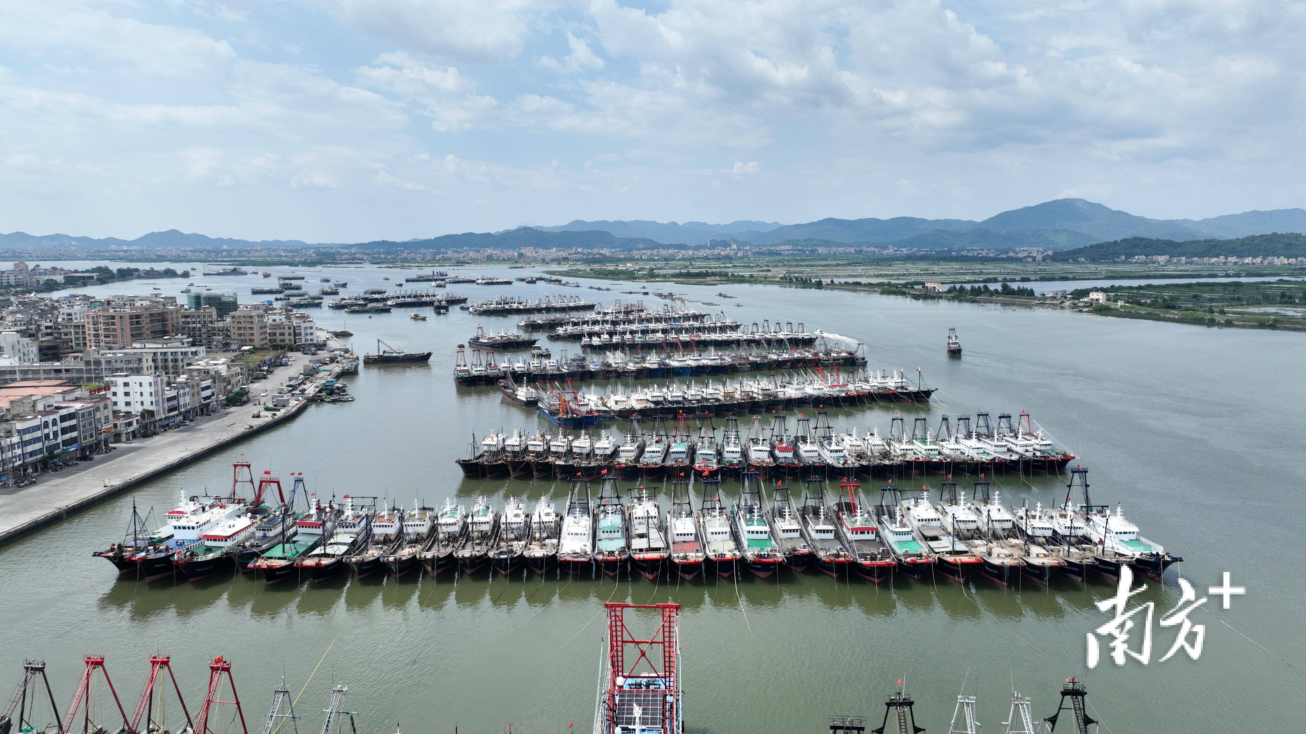茂名免费海钓点(茂名海钓哪里多鱼钓)