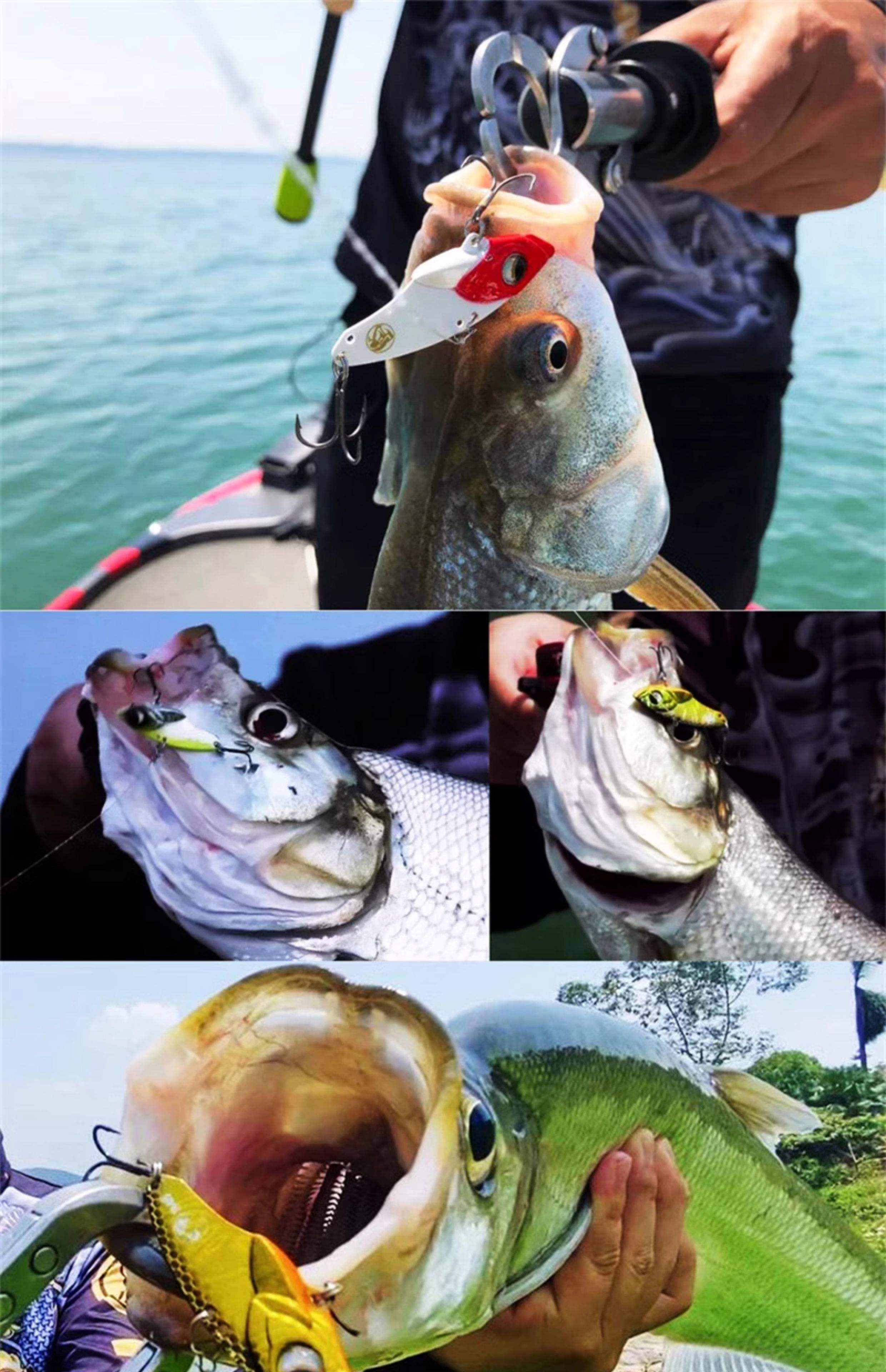 大河路亚(大河路亚挂玉米能钓鳊鱼吗) 大河路亚(大河路亚挂玉米能钓鳊鱼吗)