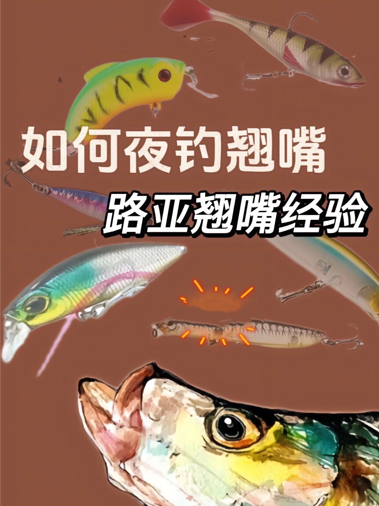 夜晚路亚钓翘嘴技巧(夜晚如何路亚翘嘴) 夜晚路亚钓翘嘴技巧(夜晚如何路亚翘嘴)