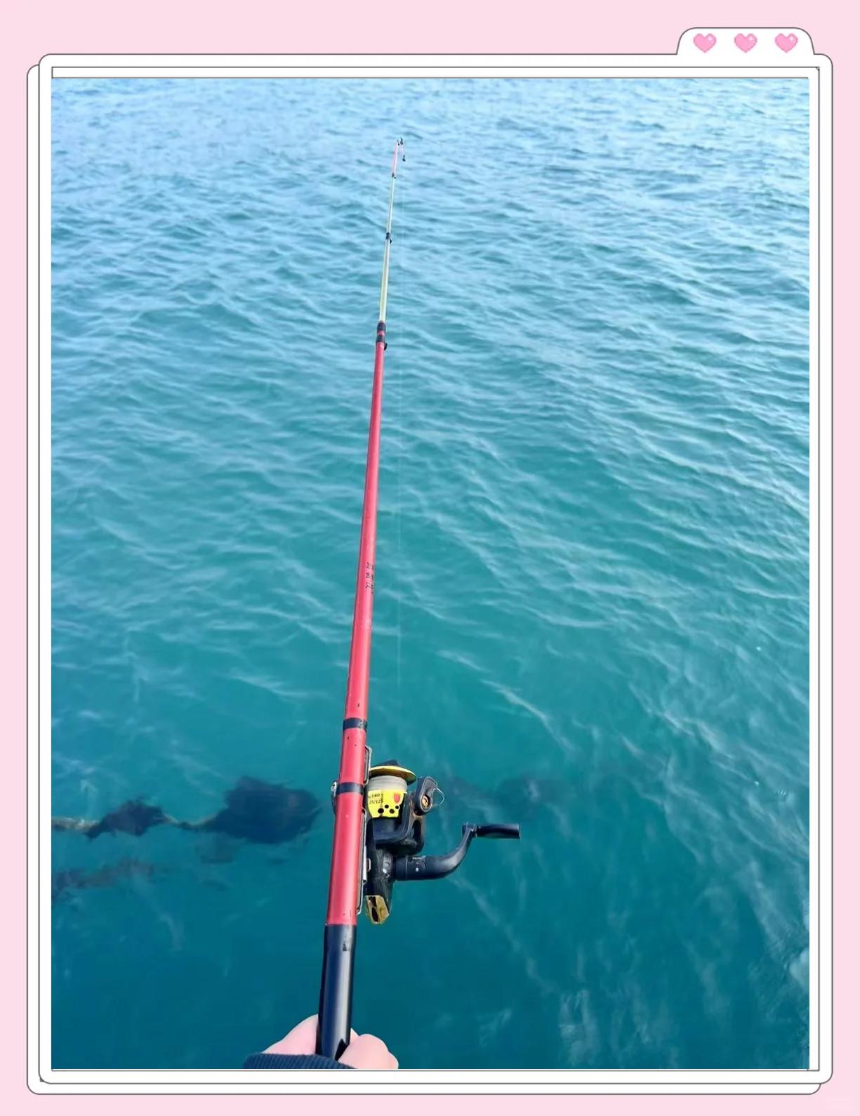 海钓内湾位(内海钓鱼) 海钓内湾位(内海钓鱼)