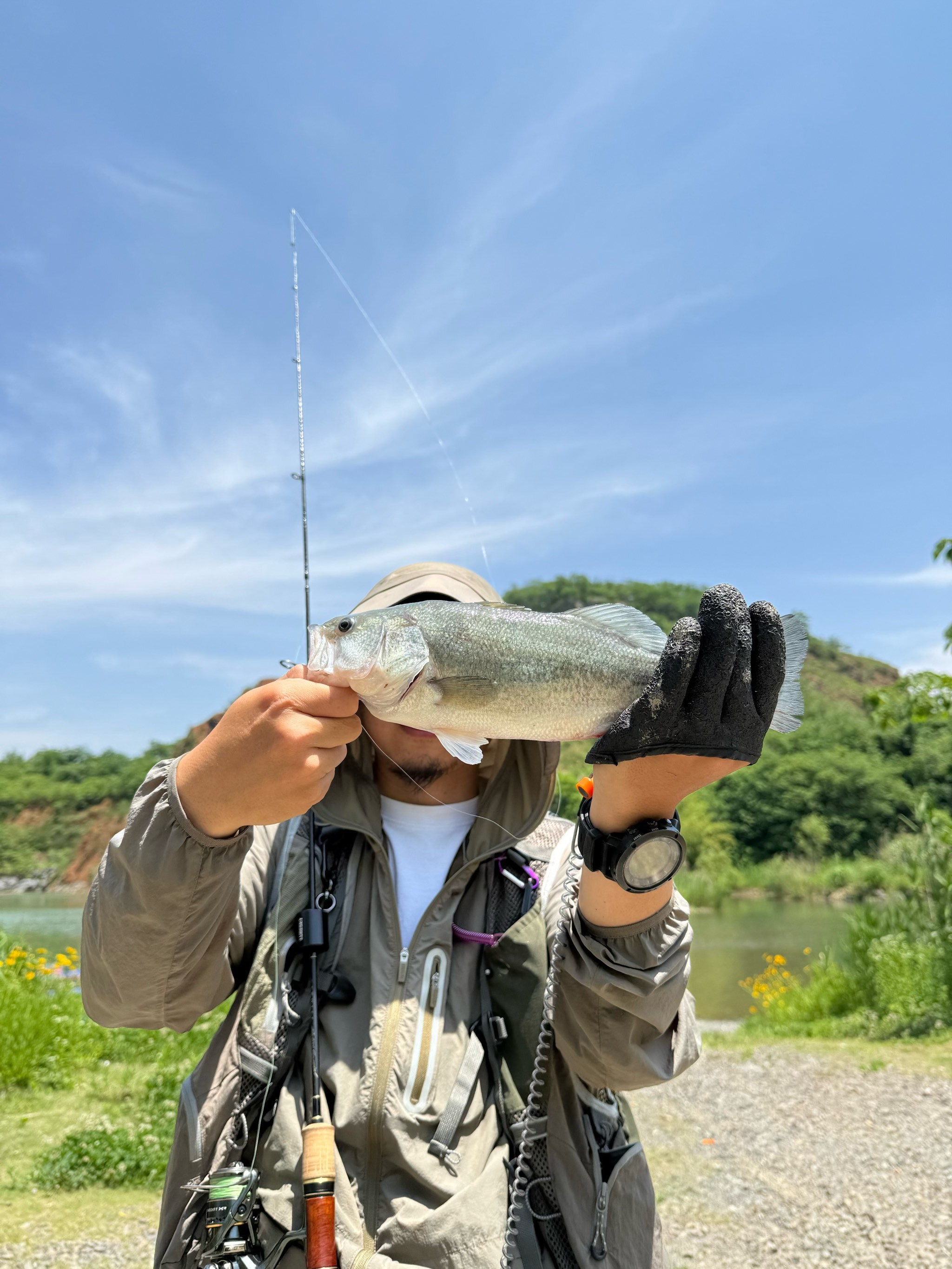 西青路亚(打路亚是什么意思) 西青路亚(打路亚是什么意思)