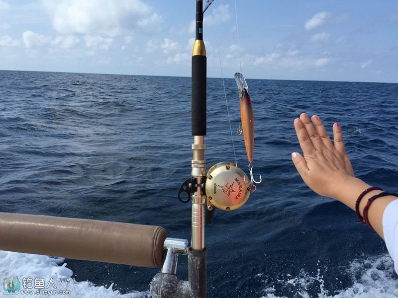 海钓怎么用鸡肝挂钩(用鸡肝钓海鱼行吗)
