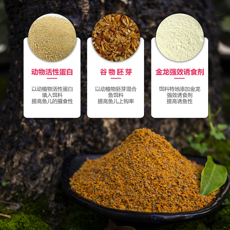 金龙的饵料好用吗(金龙的饵料好用吗知乎) 金龙的饵料好用吗(金龙的饵料好用吗知乎)