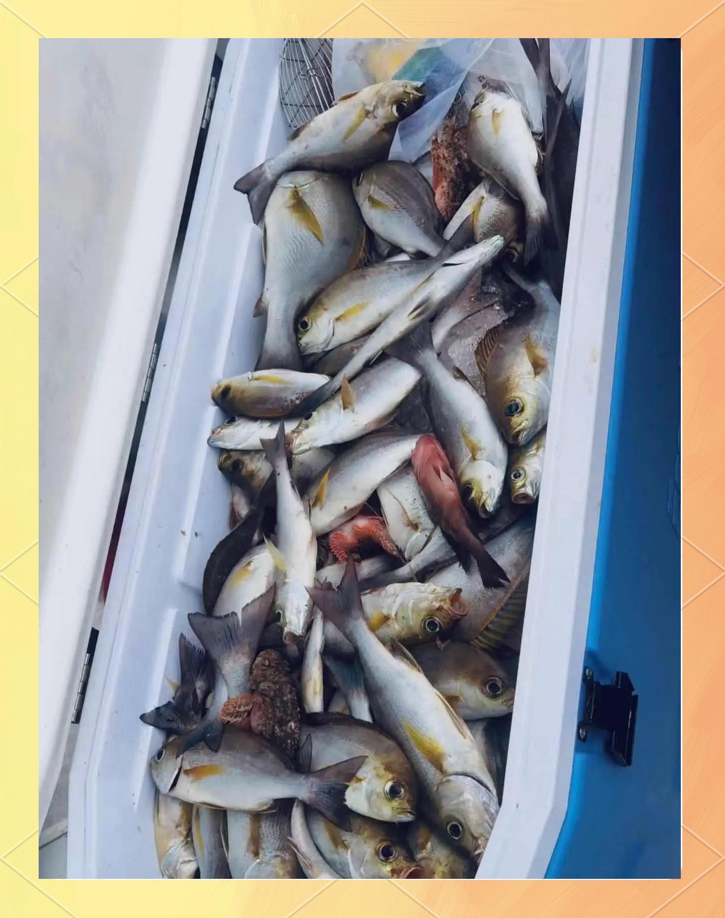 三亚码头海钓(三亚 海钓)