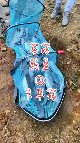 传统抖竿抖鱼技巧(抖竿钓鱼方法视频) 传统抖竿抖鱼技巧(抖竿钓鱼方法视频)