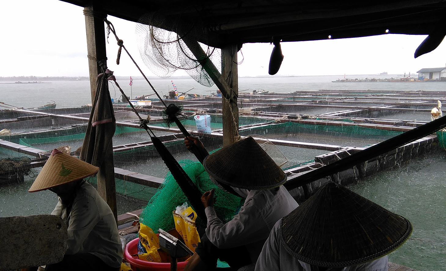 砍鱼技巧视频(砍鱼技巧视频教程)