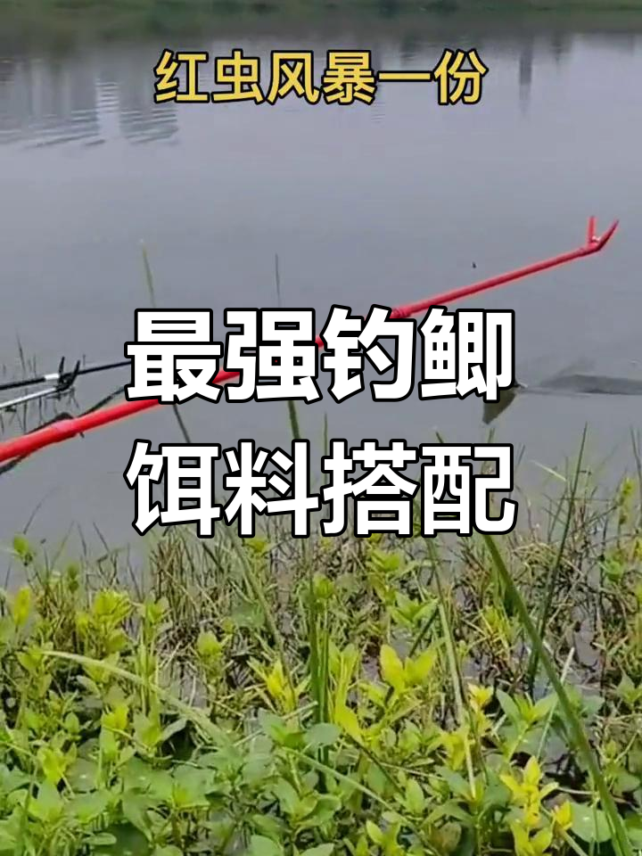 钓918怎么配饵料(钓918怎么配饵料视频) 钓918怎么配饵料(钓918怎么配饵料视频)