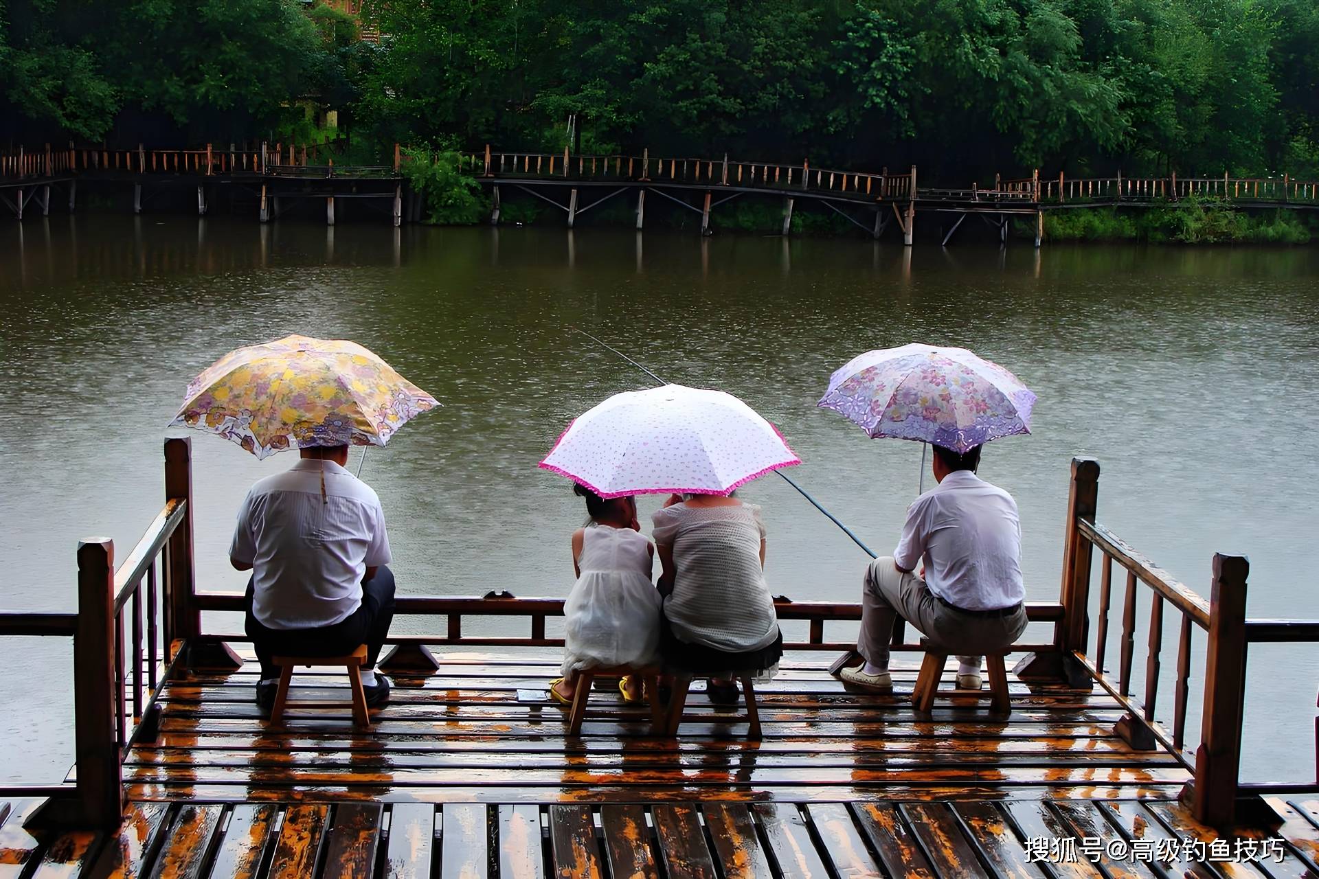 下雨天浑水钓鱼技巧(下雨水浑可以钓鱼吗) 下雨天浑水钓鱼技巧(下雨水浑可以钓鱼吗)