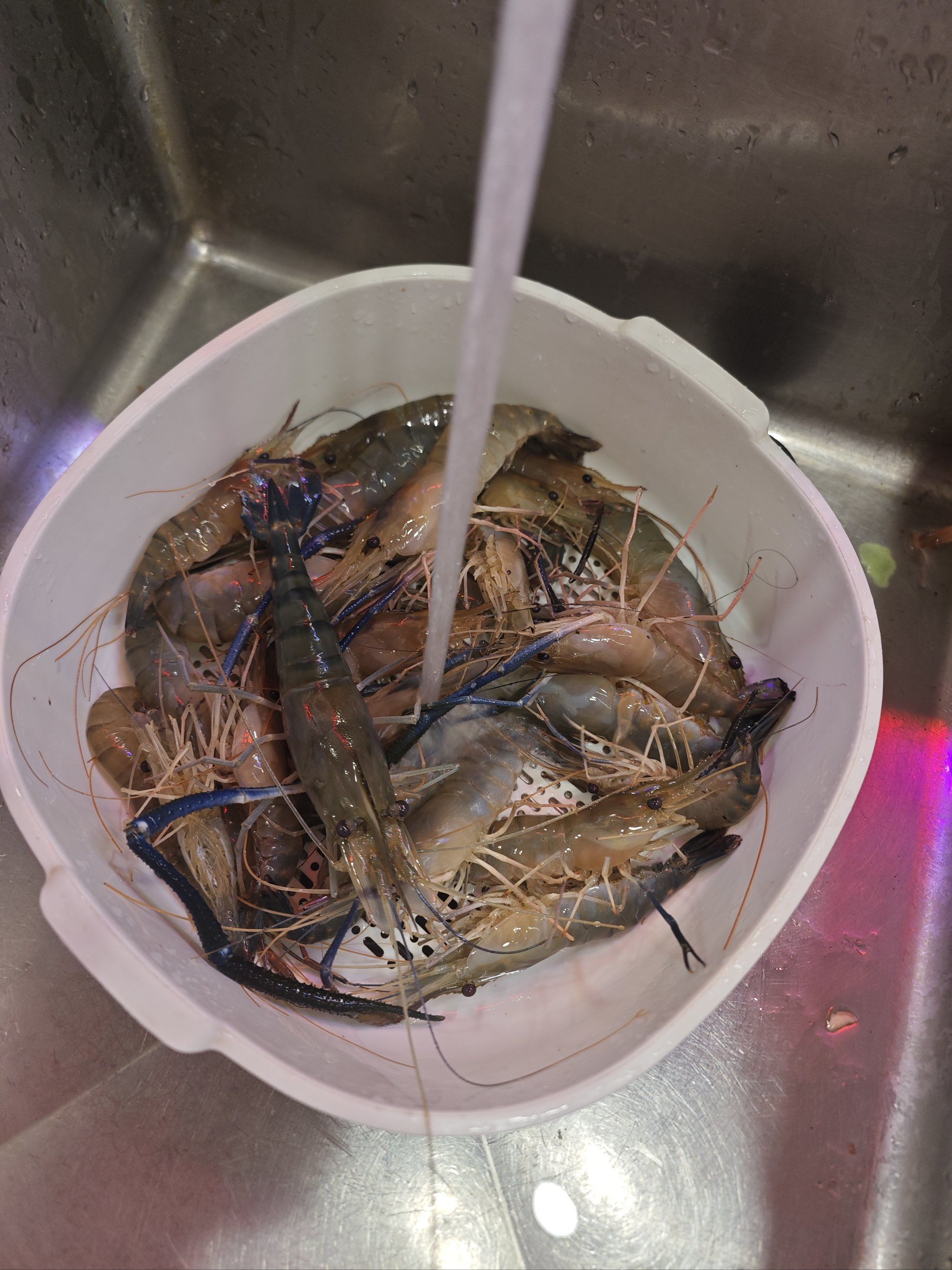 海钓鲈鱼浮虾(海钓鲈鱼浮虾视频)