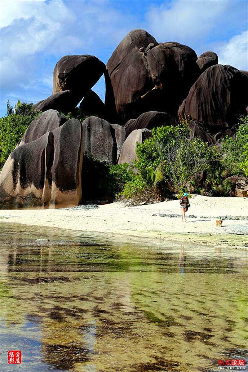 亚里路亚(啊路亚里亚什么歌)
