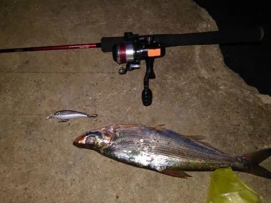 什么水域路亚(路亚什么水域都可以钓大鱼吗)