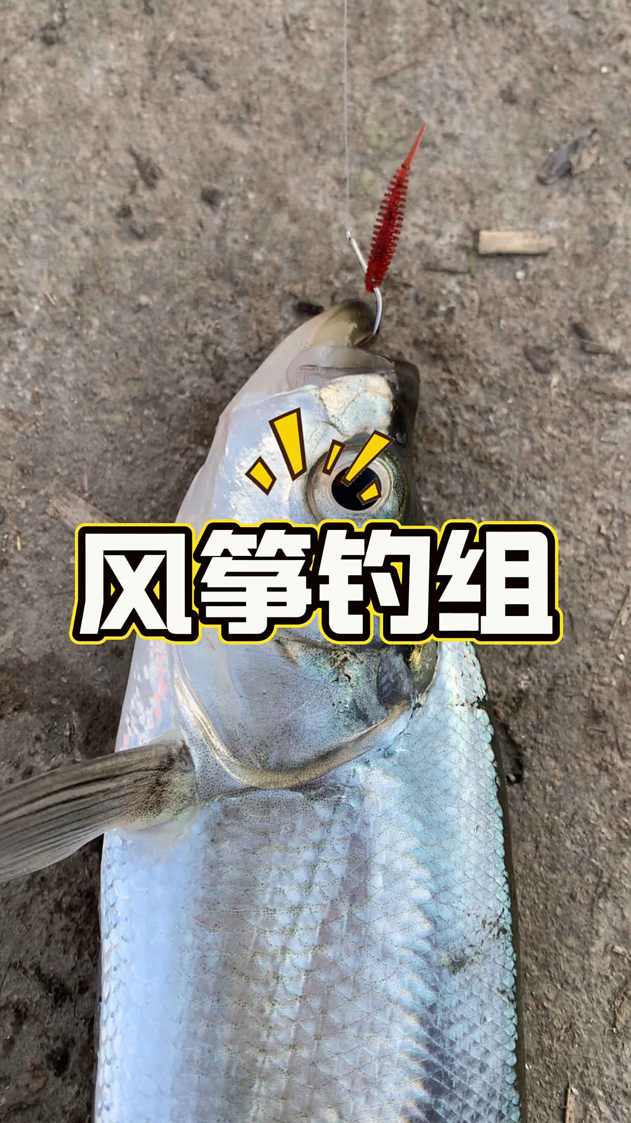 乌鲁木齐冬季路亚(乌鲁木齐冬天钓鱼场所)