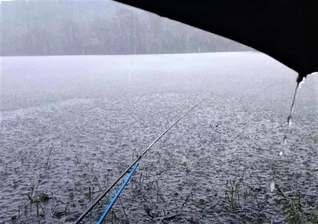 雨天河水浑浊钓鱼技巧(下雨河水浑浊钓鱼会有口吗)