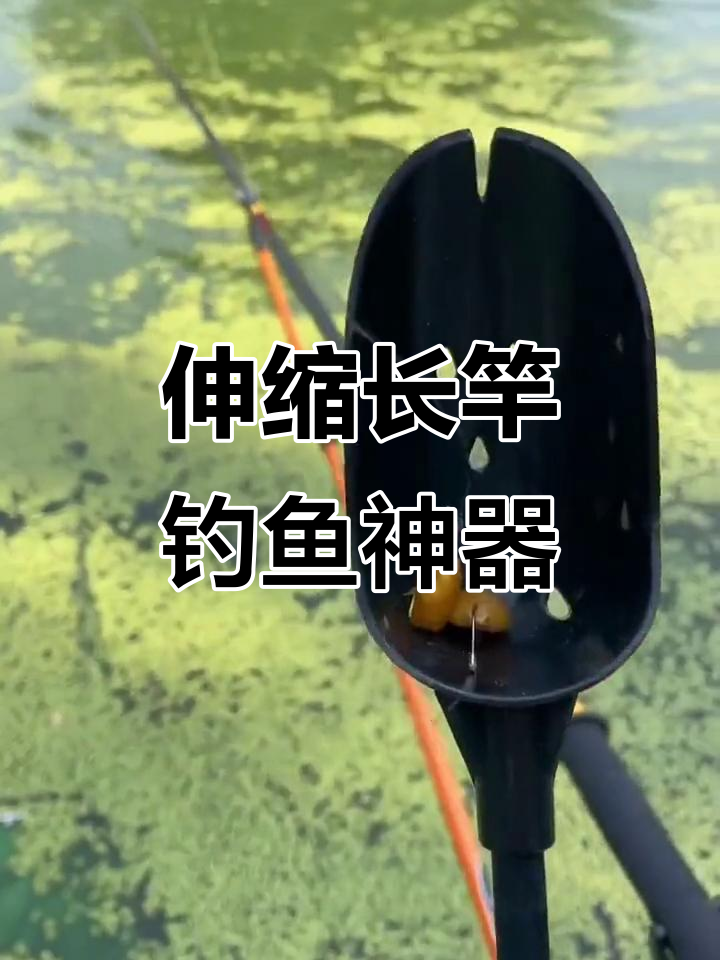 钓鱼抛长杆技巧(钓鱼抛长竿视频教程)