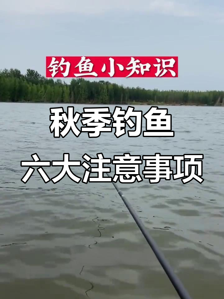 深秋野湖钓鱼技巧(深秋野湖钓鱼技巧图解)