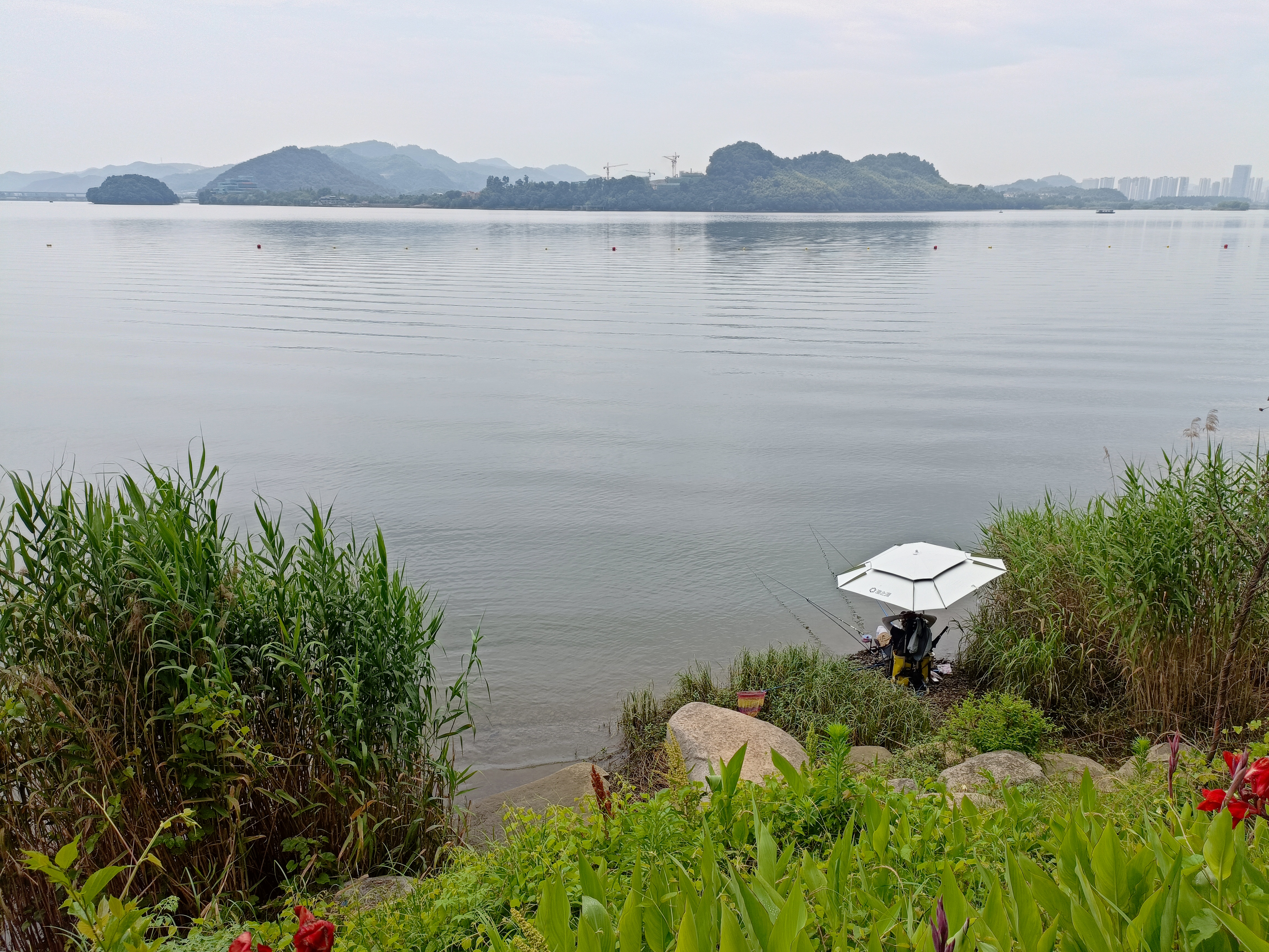 唐海钓鱼论坛(唐海钓鱼论坛最新消息)