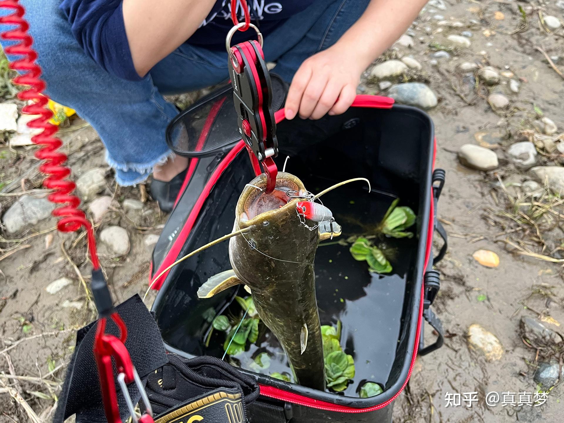 400元路亚(300元路亚套装)