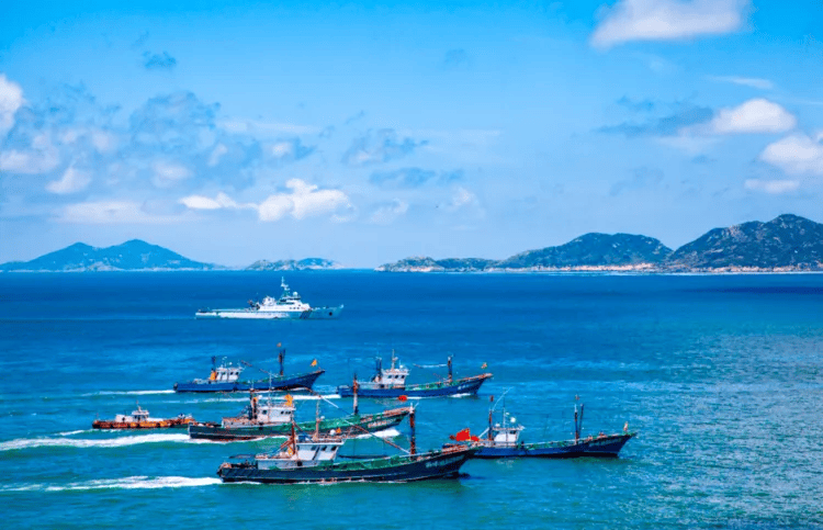 老母猪礁海钓(老母猪跳进水里泡澡)