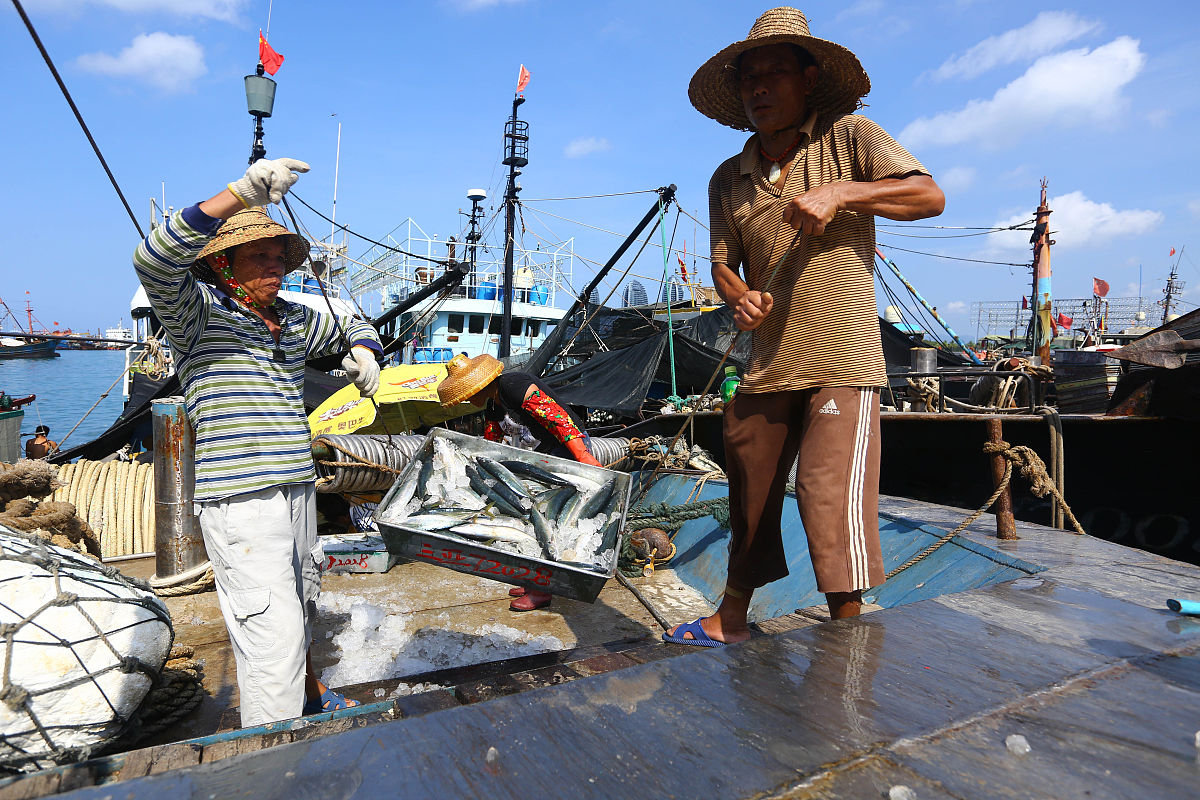 老母猪礁海钓(老母猪跳进水里泡澡)