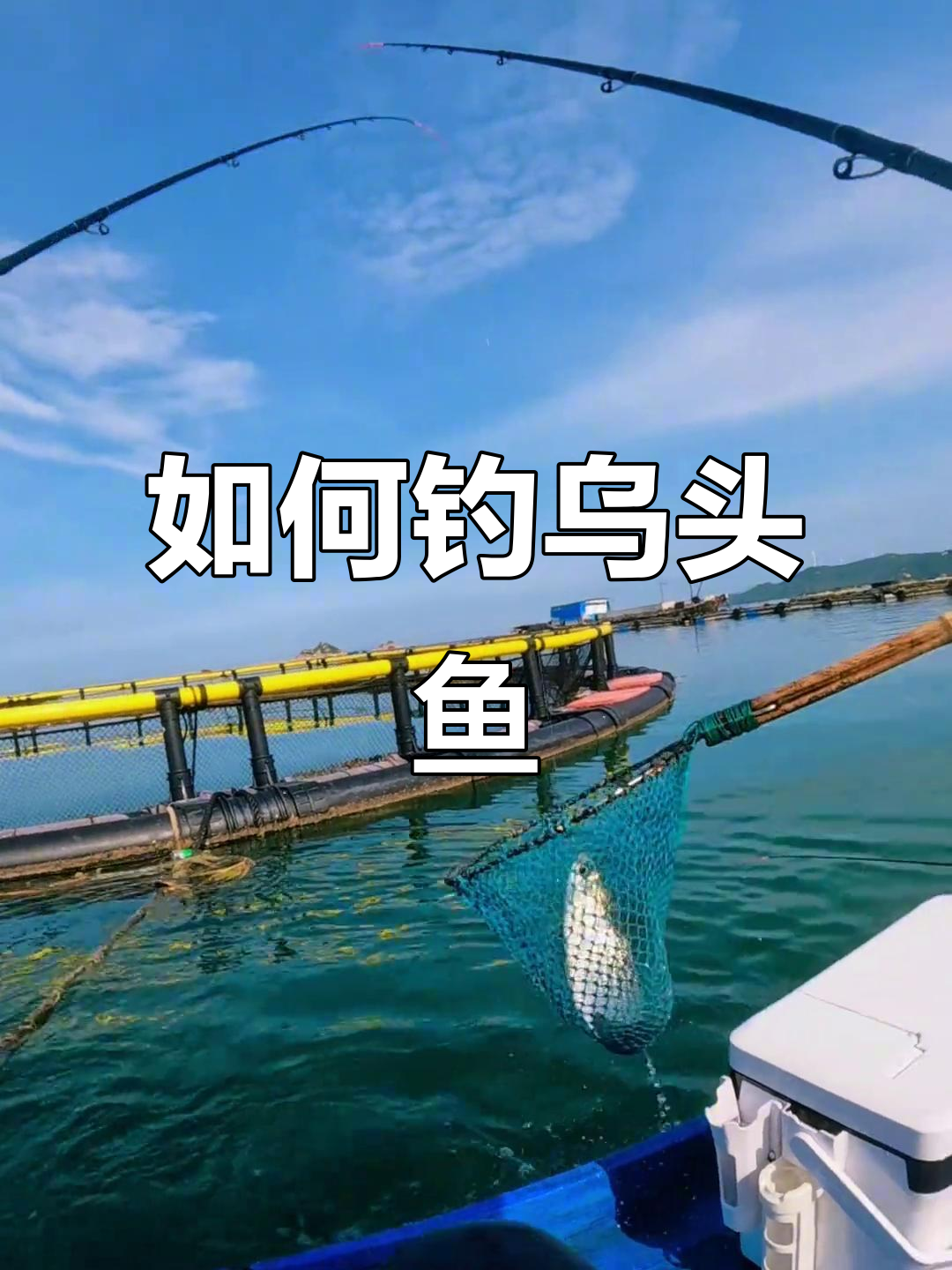 鱼排筏钓技巧视频(鱼排筏钓用什么筏竿)